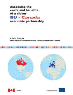 Assessing the costs and benefits of a closer EU
