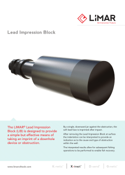Lead Impression Block Lead Impression Block
