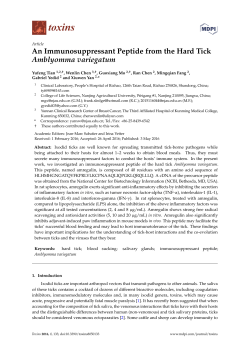 An Immunosuppressant Peptide from the Hard Tick Amblyomma