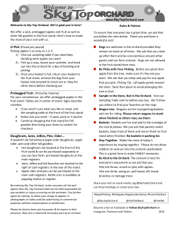 Doughnuts, Jams, Jellies, Pies, Cider&hellip;