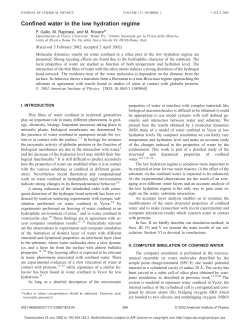 Confined water in the low hydration regime