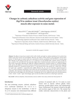 Changes in carbonic anhydrase activity and gene