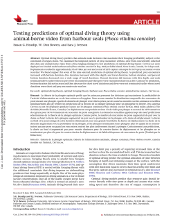 Testing predictions of optimal diving theory using animal