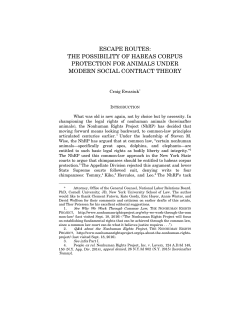 escape routes: the possibility of habeas corpus protection for