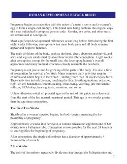 huhuman development before birth human development before birth