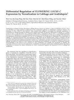 Differential Regulation of FLOWERING LOCUS C