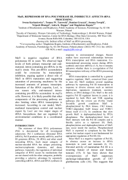 1 Maf1, REPRESSOR OF RNA POLYMERASE III, INDIRECTLY