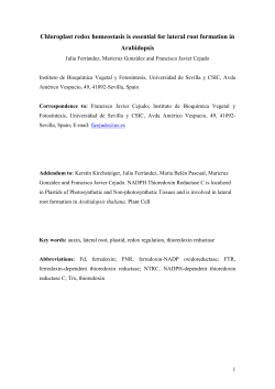 Antioxidant systems in the nucleus of cell suffering oxidative