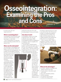 Examining the Pros and Cons