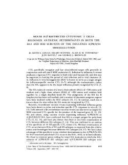 MOUSE H-2k-RESTRICTED CYTOTOXIC T CELLS RECOGNIZE