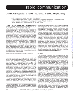 ACELL September 46/3 - AJP-Cell