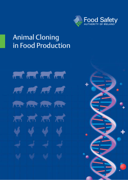 Animal Cloning in Food Production - The Food Safety Authority of