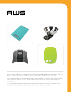 American Weigh Scales Inc. is a Georgia