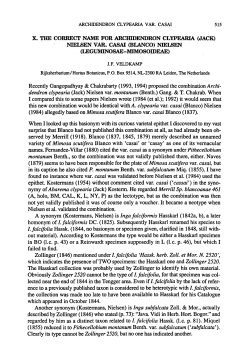 (Kostermans, Nielsen) is Inga falciformis (1842a, b), homonym of I