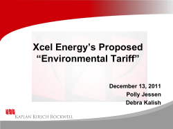 Comments on Xcel Energy`s Proposed `Environmental Tariff`