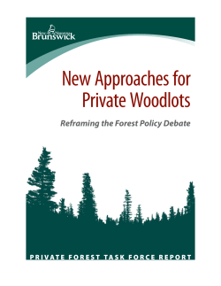 New Approaches for Private Woodlots