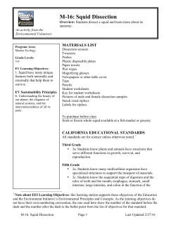M-16: Squid Dissection - Environmental Volunteers