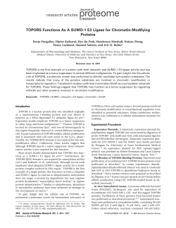 TOPORS Functions As A SUMO-1 E3 Ligase for Chromatin