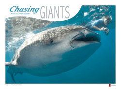 Chasing - Rufford Small Grants