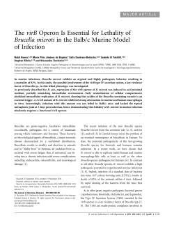 The virB Operon Is Essential for Lethality of