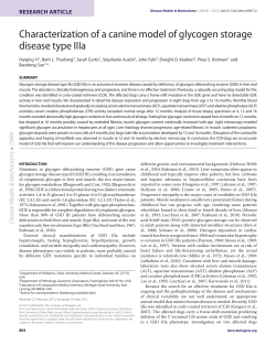 Characterization of a canine model of glycogen storage disease