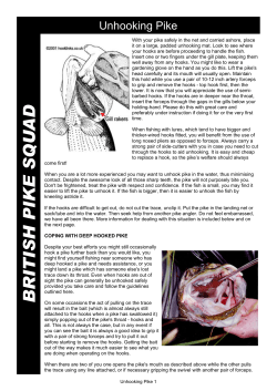 Unhooking Pike - British Pike Squad