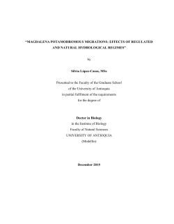 efecto de los cambios de caudal debidos a la operaci&oacute;n de la