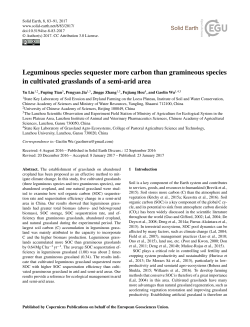 Leguminous species sequester more carbon than