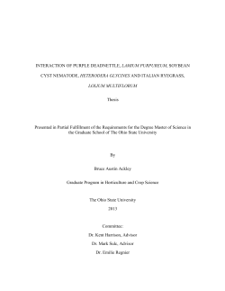 INTERACTION OF PURPLE DEADNETTLE, LAMIUM PURPUREUM