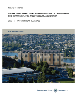 Faculty of Science ANTHER DEVELOPMENT IN THE STAMINATE