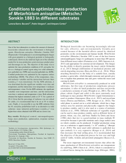 Conditions to optimize mass production of Metarhizium anisopliae
