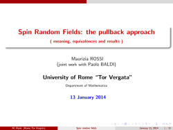Spin Random Fields: the pullback approach ( meaning