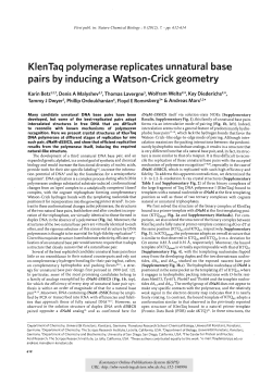 KlenTaq polymerase replicates unnatural base pairs by inducing a