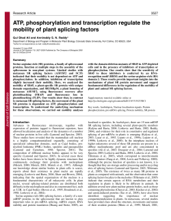 ATP, phosphorylation and transcription regulate the mobility of plant