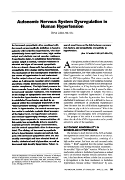 as a PDF