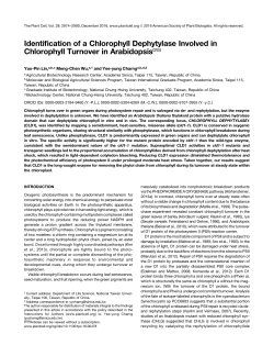 Identification of Chlorophyll Dephytylase Involved in