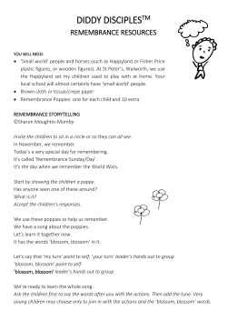 the PDF Here!