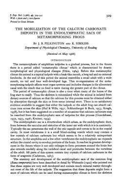 THE MOBILIZATION OF THE CALCIUM CARBONATE DEPOSITS IN