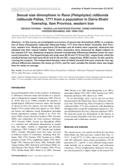 Sexual size dimorphism in Rana (Pelophylax) ridibunda ridibunda