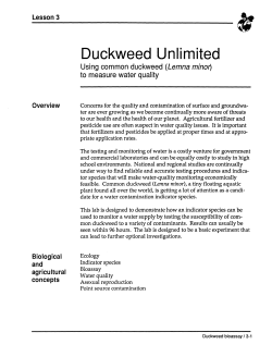 Duckweed Unlimited - Wisconsin Fast Plants