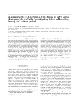 Engineering three-dimensional bone tissue in vitro