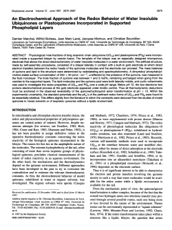 PDF - Laboratoire d`Electrochimie Mol&eacute;culaire