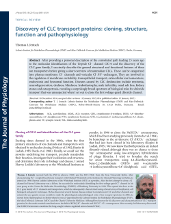 Discovery of CLC transport proteins: cloning, structure, function and
