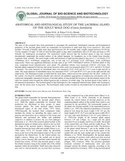 ANATOMICAL AND HISTOLOGICAL STUDY OF THE LACRIMAL