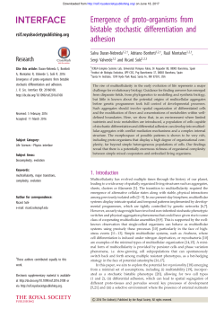 Emergence of proto-organisms from bistable stochastic