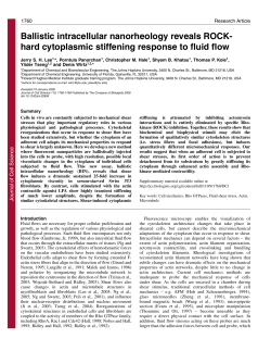 Ballistic intracellular nanorheology reveals ROCK