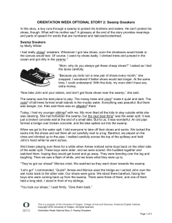 ORIENTATION WEEK OPTIONAL STORY 2: Swamp Sneakers