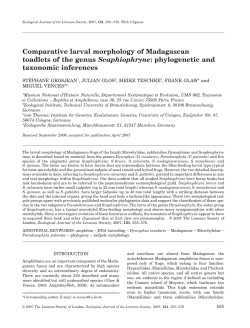 Comparative larval morphology of Madagascan toadlets of the