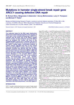 Mutations in hamster single-strand break repair gene XRCC1