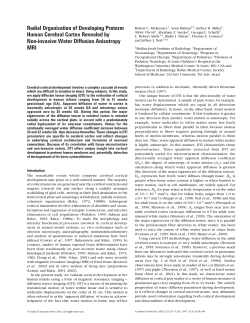 Radial Organization of Developing Preterm Human Cerebral Cortex
